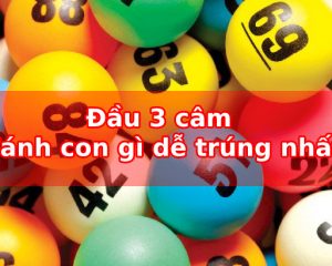 Đầu 3 câm đánh con gì dễ trúng nhất?