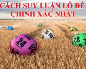 Suy luận lô đề